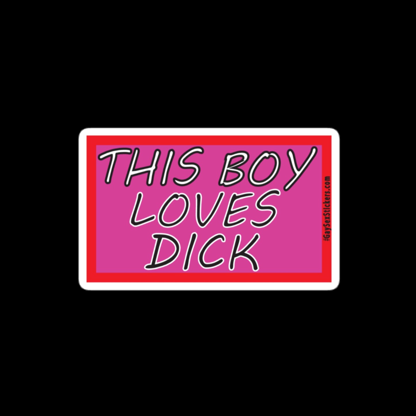 This Boy Loves Dick Sticker