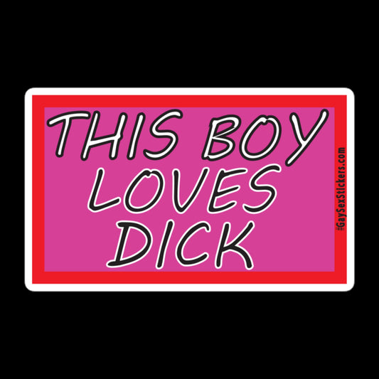 This Boy Loves Dick Sticker